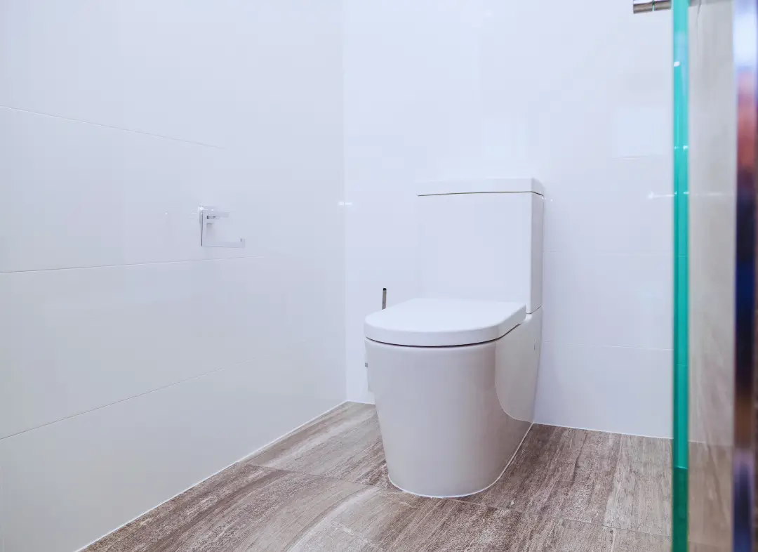 Remplacement de wc Sorigny